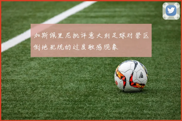 加斯佩里尼批评意大利足球对禁区倒地犯规的过度敏感现象